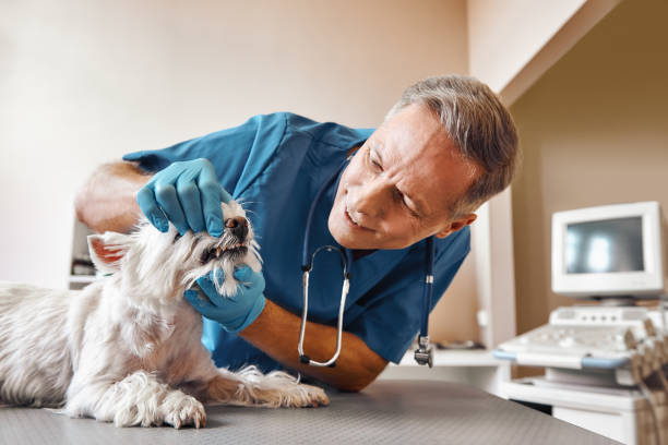 Best Emergency Denture Repair in Clayton, IN